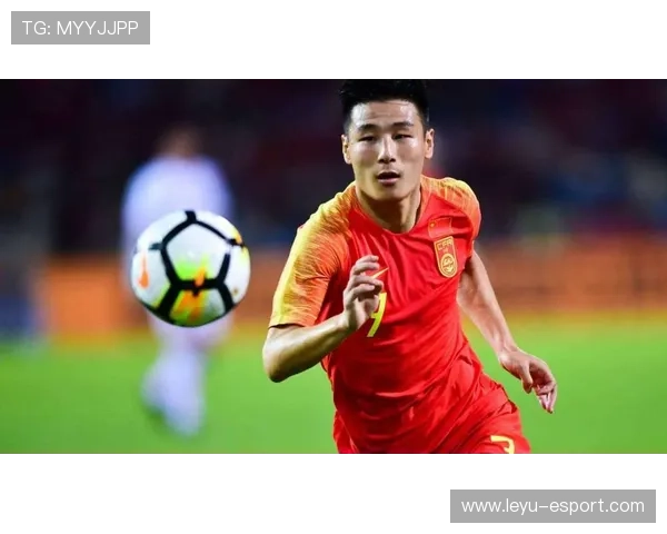 伤病康复，路在何方成谜题