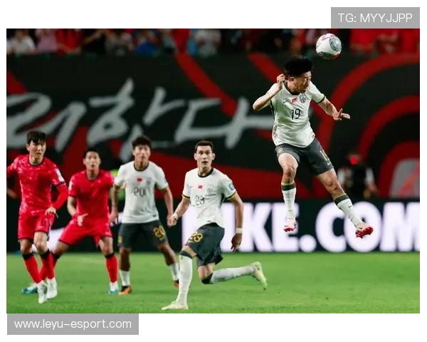 国足战术演练亮点曝光引球迷关注，国足技战术分析