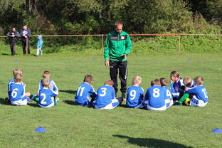 欧洲杯逆转奇迹：战术配合与个人能力的完美呈现，欧洲杯逆天进球