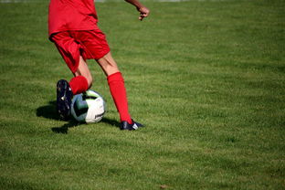 鹈鹕青训体系被评为联盟样板项目，鹈鹕原来是哪个队